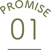 PROMISE 01
